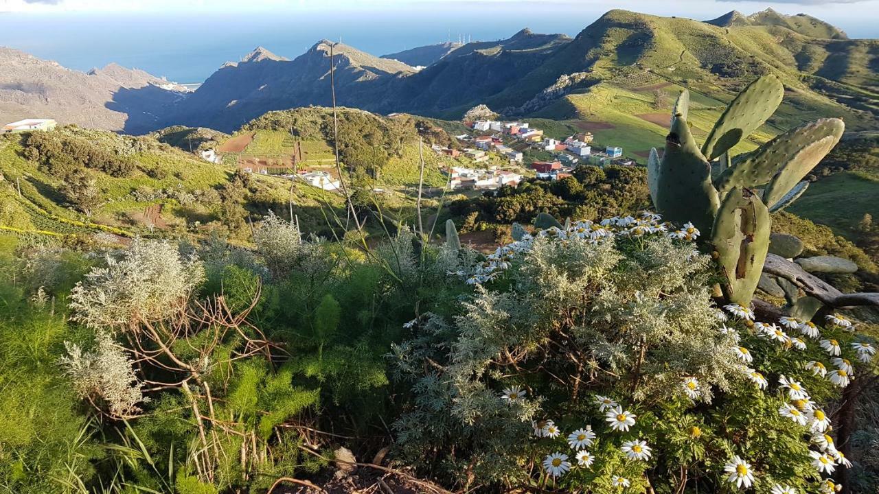 La Casita De Omar En El Corazon De Anaga Y La Laguna Las Mercedes ภายนอก รูปภาพ